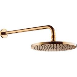 Верхний душ Excellent Regular, настенный/потолочный монтаж, круглый, с 1 режимом, размер 25х25 см, нержавеющая сталь, цвет золото, для душа/ванной