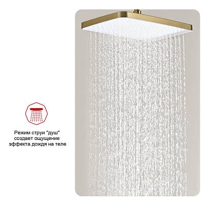 Верхний душ Raglo R451.52.03 прямоугольная, 1 режим, размер 340х220 мм, пластик, цвет сатин золотой, для душа/ванной, на стену/на потолок