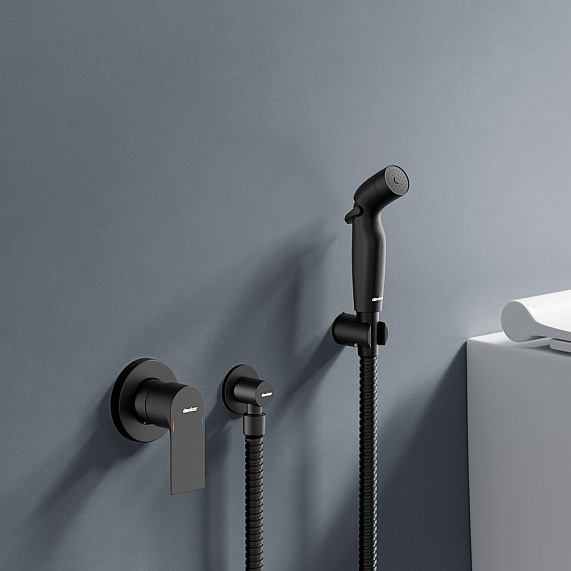Смеситель с гигиеническим душем Damixa Apollo однорычажный, скрытого монтажа, керамический, латунь, цвет черный, встраиваемый