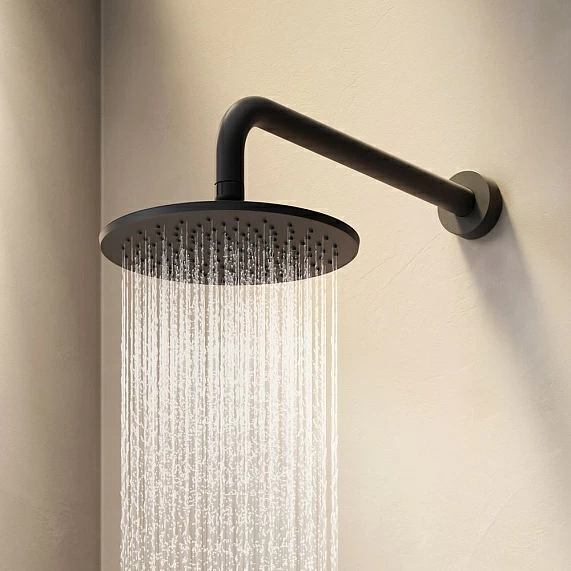 Верхний душ Am.Pm Gem 225 мм цвет черный, латунь/пластик