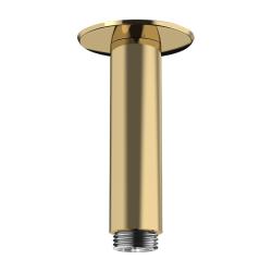 Потолочное подсоединение для верхнего душа Hansgrohe Raindance, 10 см, потолочный, цвет: полированное золото, нержавеющая сталь, для душа/ванной/душевой кабины