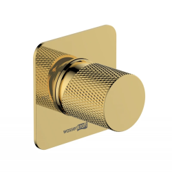 Смеситель для душа WasserKRAFT Ems, однорычажный, встраиваемый, керамический, без излива, без душевого комплекта, латунь, цвет золото