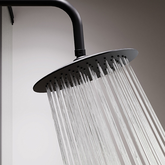 Верхний душ Damixa Scandinavian Pure на подвижном шарнире, круглый, с 1 режимом, тропический душ (лейка), размер диска 250 мм, ABS-пластик, цвет черный, для душа/ванной