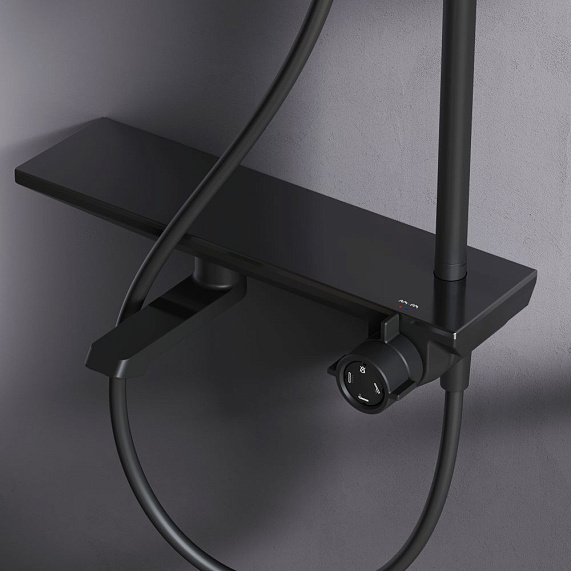 Душевая система AM.PM Gem высота 1030-1460 мм цвет черный матовый, комплект: однорычажный смеситель с изливом/тропический душ (с верхней лейкой)/стойка/лейка/шланг, наружного монтажа