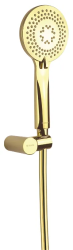 Душевой гарнитур Deante Arnika, цвет золото, сталь, комплект: душевая лейка/держатель лейки/шланг, наружного монтажа, настенный