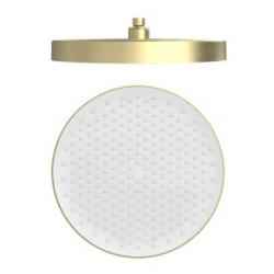 Верхний душ Raglo R452.09.03 тропический, круглый, 1 режим, размер 320 мм, нержавеющая сталь, цвет сатин золотой, для душа/ванной