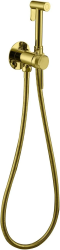 Смеситель с гигиеническим душем Allen Brau Priority встраиваемый, однорычажный, керамический, без излива, с гибким шлангом/лейкой, латунь, цвет золото браш