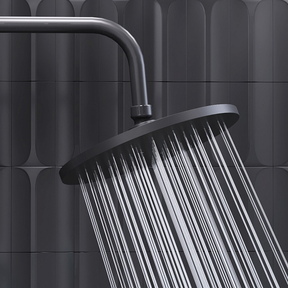 Верхний душ Damixa Jupiter на подвижном шарнире, круглый, с 1 режимом, тропический душ (лейка), размер диска 225 мм, ABS-пластик, цвет черный матовый, для душа/ванной