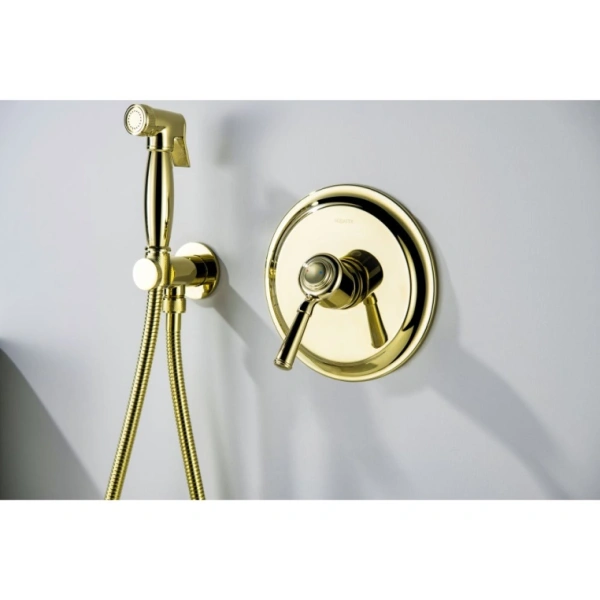 Смеситель с гигиеническим душем Aquatek Классик встраиваемый, однорычажный, керамический, без излива, с гибким шлангом/лейкой, латунь, цвет полированное золото