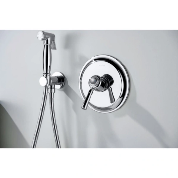 Смеситель с гигиеническим душем Aquatek Классик встраиваемый, однорычажный, керамический, без излива, с гибким шлангом/лейкой, латунь, цвет хром