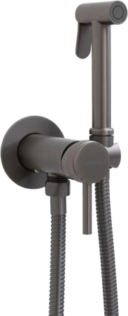 Смеситель с гигиеническим душем Allen Brau Priority встраиваемый, однорычажный, керамический, без излива, с гибким шлангом/лейкой, латунь, цвет графит браш