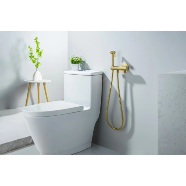 Смеситель термостатический с гигиеническим душем Aquatek Оберон встраиваемый, однорычажный, без излива, с гибким шлангом/лейкой, латунь, цвет шлифованное золото