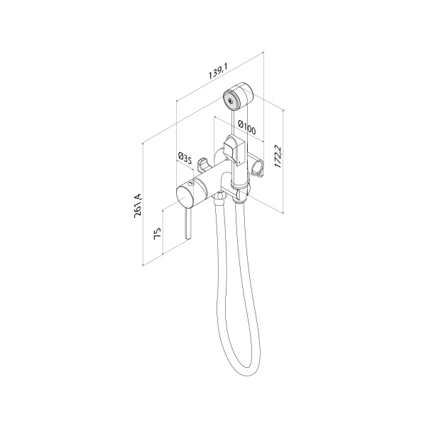 Смеситель IDDIS Axes с гигиеническим душем, встраиваемый, однорычажный, керамический, без излива, с гибким шлангом/лейкой, латунь, цвет хром, с крючком для полотенца