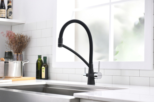 Смеситель для кухни/мойки Paulmark Siegen, с подключением к фильтру/биканальный, однорычажный, поворотный/гибкий излив, керамический картридж, высокий, длина излива 225 мм, латунь, цвет антрацит/хром