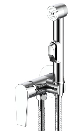 Смеситель с гигиеническим душем Esko Budapest встраиваемый, однорычажный, керамический, без излива, с гибким шлангом/лейкой, латунь, цвет хром BTSMH