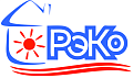 РЭКО (Россия) РЭКО (Россия)