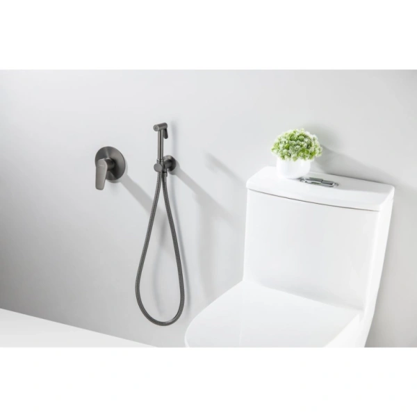 Смеситель с гигиеническим душем Aquatek Бетта встраиваемый, однорычажный, керамический, без излива, с гибким шлангом/лейкой, латунь, цвет оружейная сталь