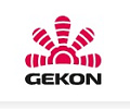 Gekon (Россия)