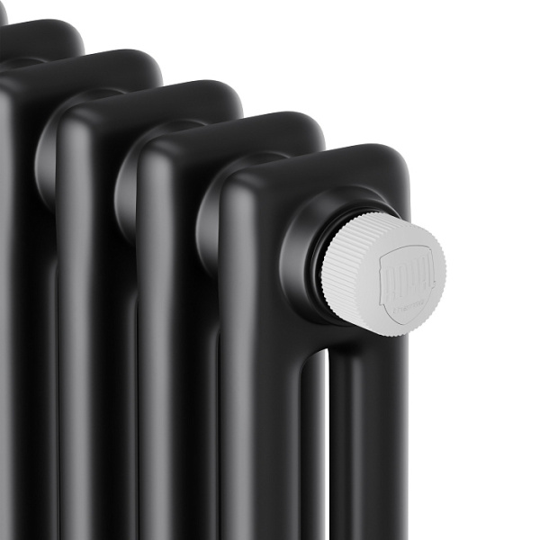 Радиатор Royal Thermo Insignia VC2180 стальной 2 трубчатый, 8 секций, нижнее подключение, для отопления квартиры, дома, водяные, мощность 1616 Вт, настенный, цвет черный RAL9005m
