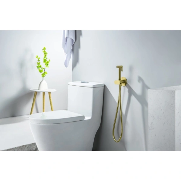 Смеситель с гигиеническим душем Aquatek Оберон встраиваемый, однорычажный, керамический, без излива, с гибким шлангом/лейкой, латунь, цвет шлифованное золото